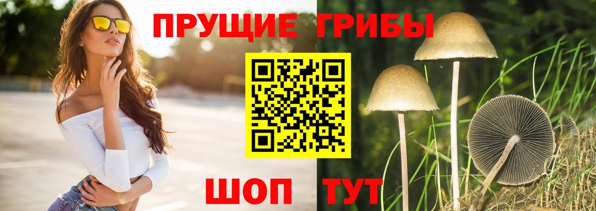 Псилоцибиновые грибы мицелий  где найти наркотики  Мелеуз  Вход с VPN 